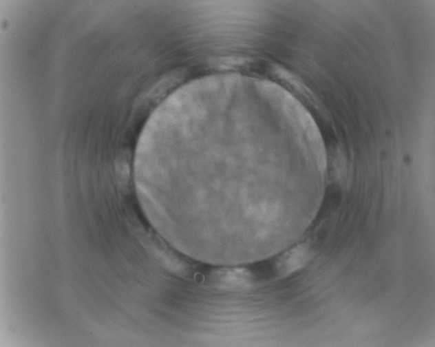 X0000071960427200607282038