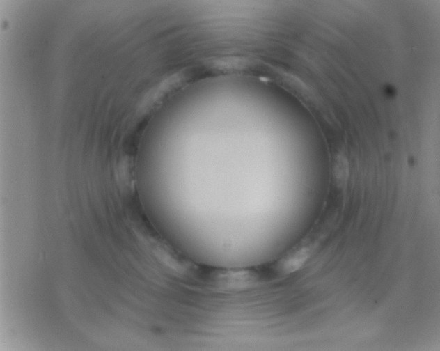 X0000071960428200607282038