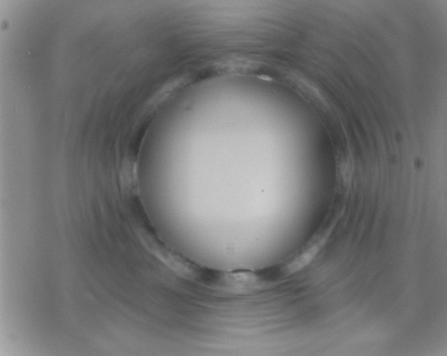 X0000071960429200607282038