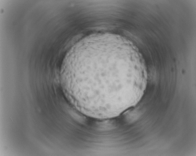 X0000071960430200607282038