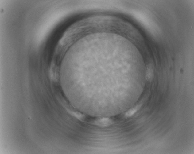 X0000071960431200607282038