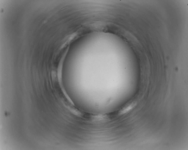 X0000071960432200607282038