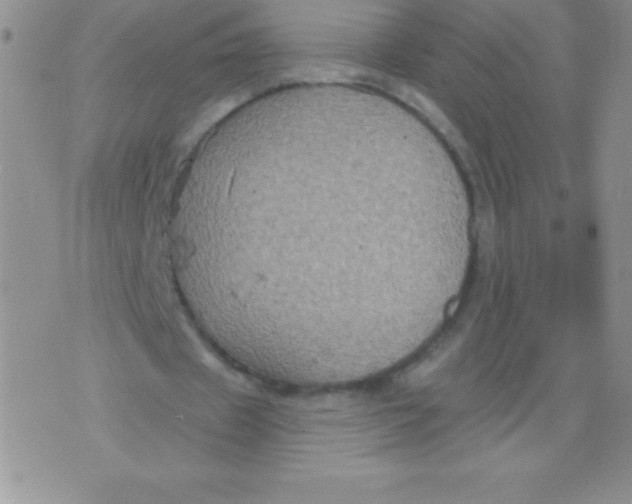 X0000071960433200607282037