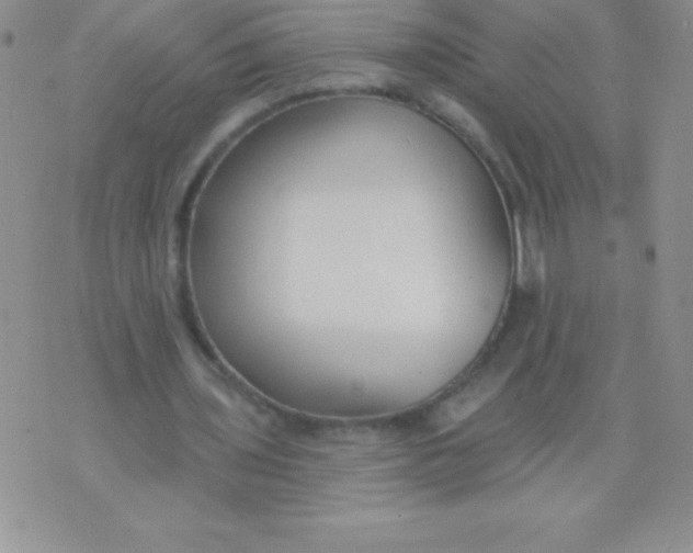 X0000071960435200607282037