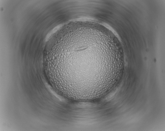 X0000071960437200607282037