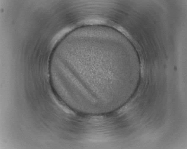 X0000071960438200607282037