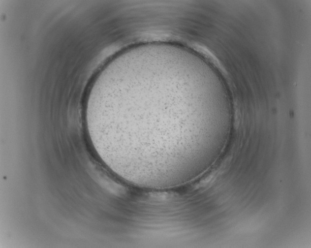 X0000071960439200607282037