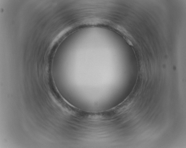 X0000071960440200607282037