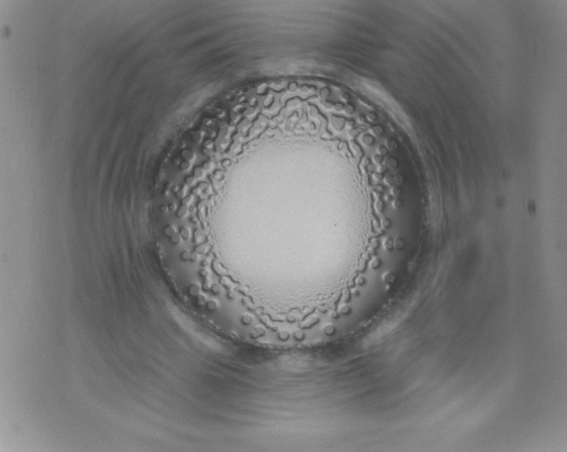 X0000071960441200607282037