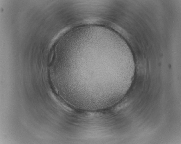 X0000071960442200607282037