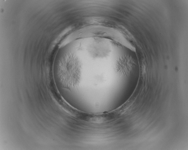 X0000071960444200607282037