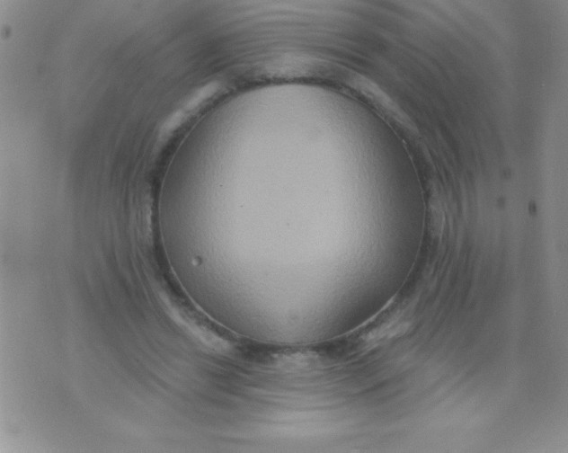 X0000071960446200607282037