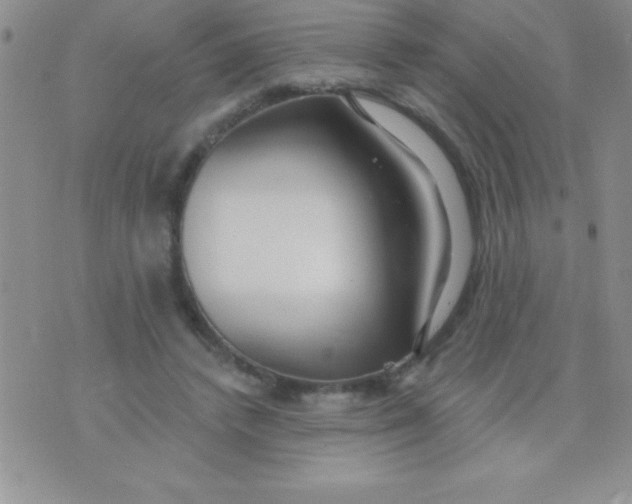 X0000071960448200607282037