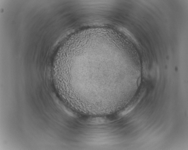 X0000071960449200607282037