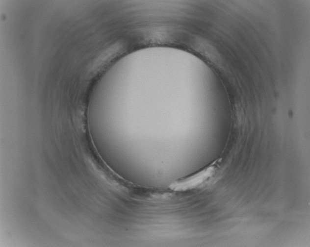 X0000071960450200607282037