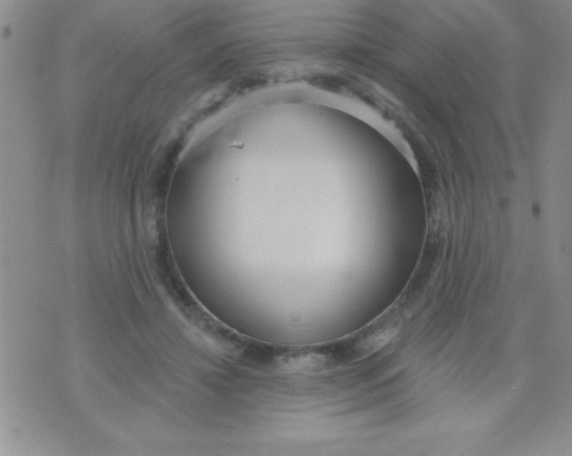 X0000071960452200607282037