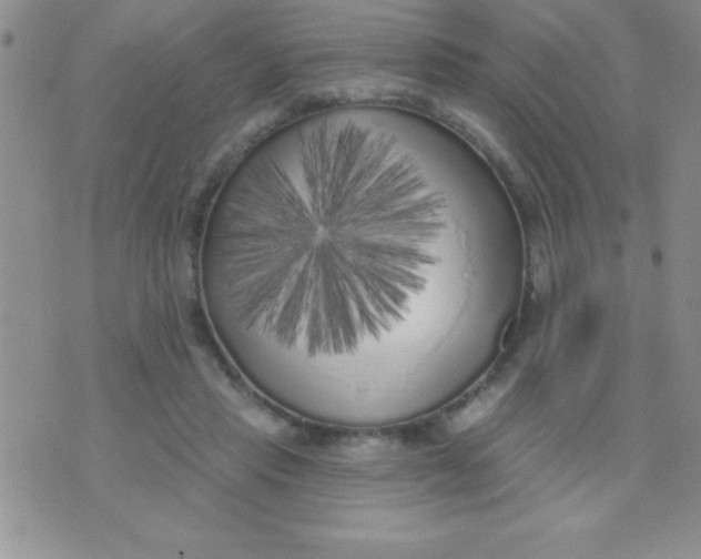 X0000071960453200607282037