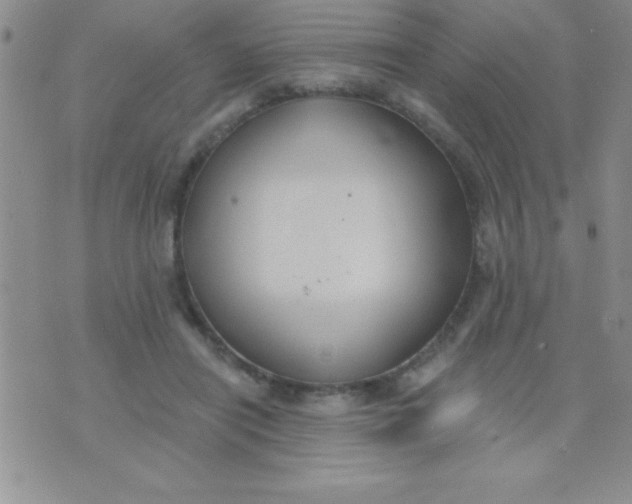 X0000071960454200607282037