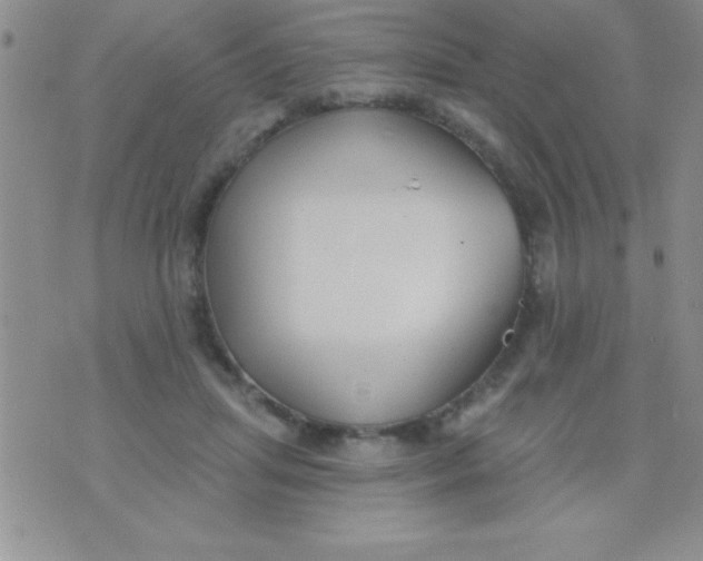 X0000071960455200607282037