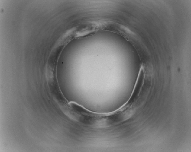 X0000071960456200607282037