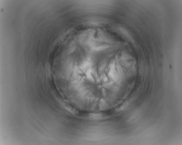 X0000071960457200607282037