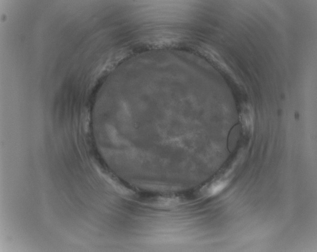 X0000071960458200607282037