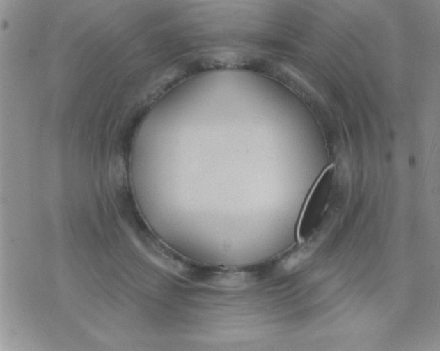 X0000071960459200607282037