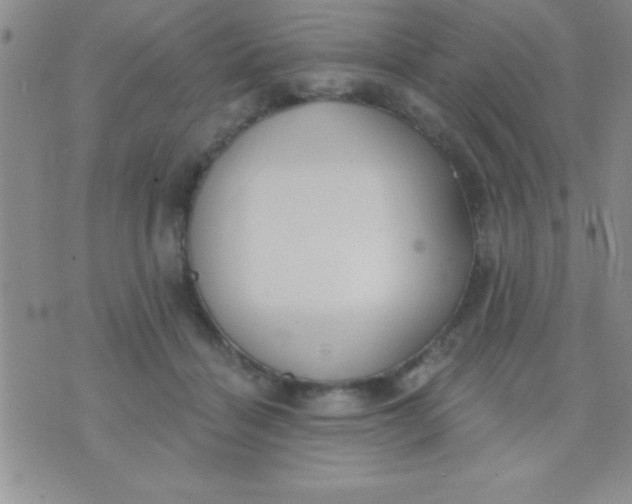 X0000071960460200607282037