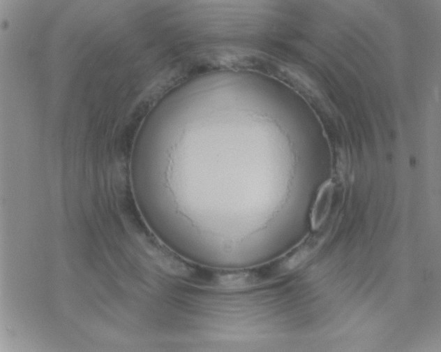 X0000071960461200607282037