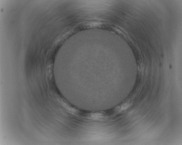 X0000071960462200607282037