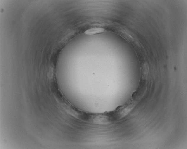 X0000071960463200607282037