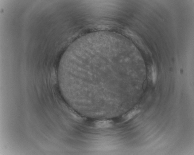 X0000071960465200607282037