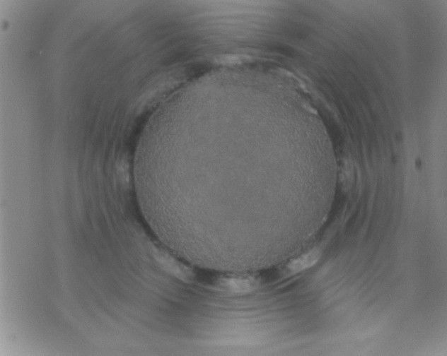 X0000071960466200607282037