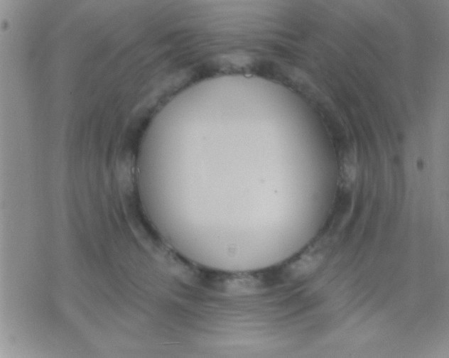 X0000071960468200607282037