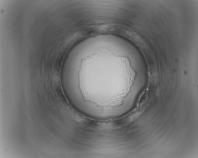 X0000071960469200607282037