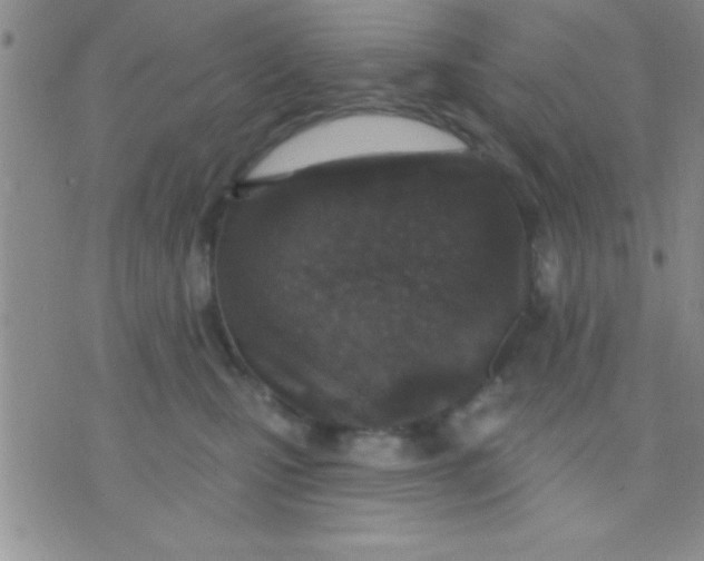 X0000071960471200607282038