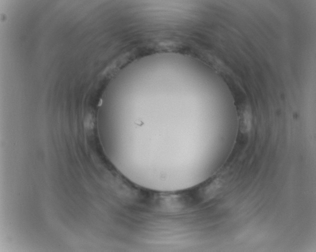 X0000071960472200607282038