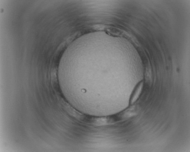 X0000071960473200607282038