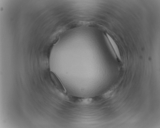 X0000071960474200607282038