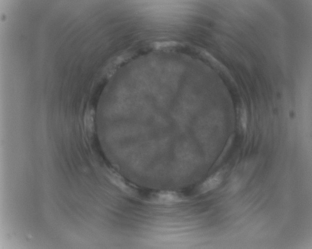 X0000071960475200607282038