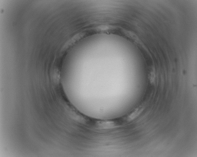 X0000071960476200607282038