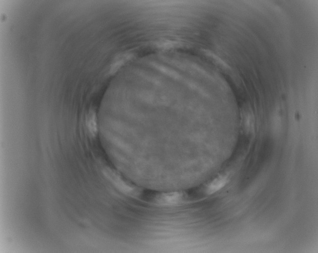 X0000071960479200607282038