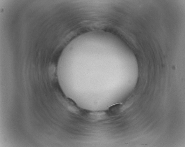 X0000071960480200607282038