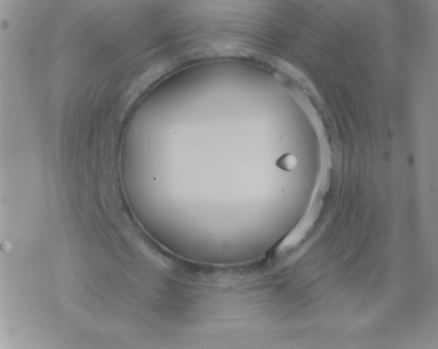 X0000071960481200607282037