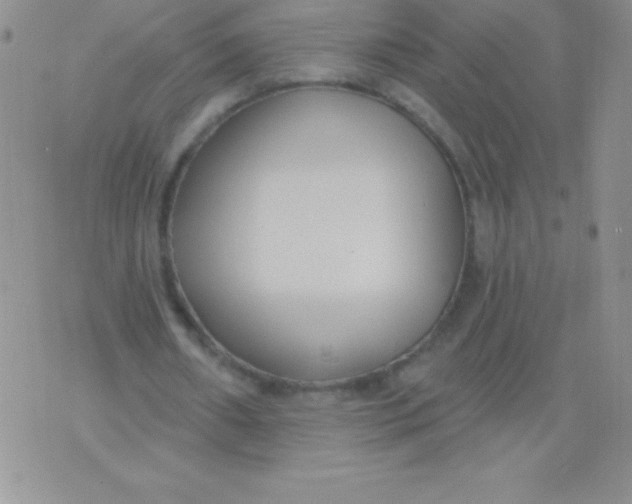 X0000071960482200607282037