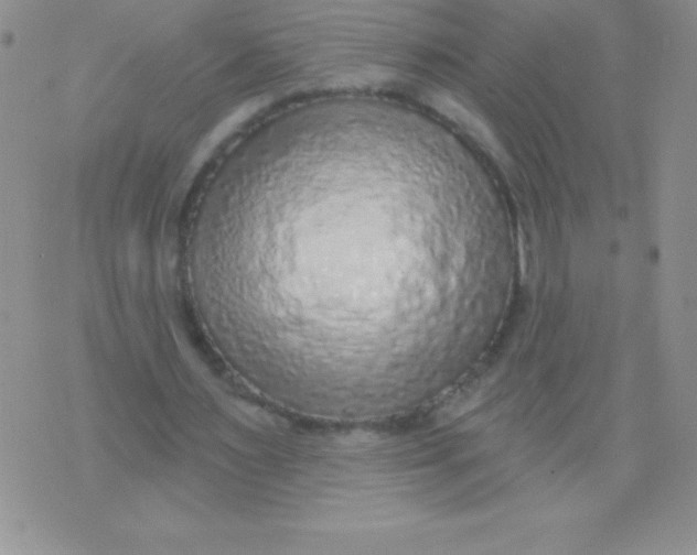 X0000071960483200607282037