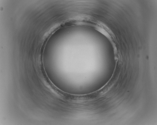 X0000071960485200607282037