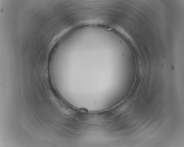 X0000071960486200607282037