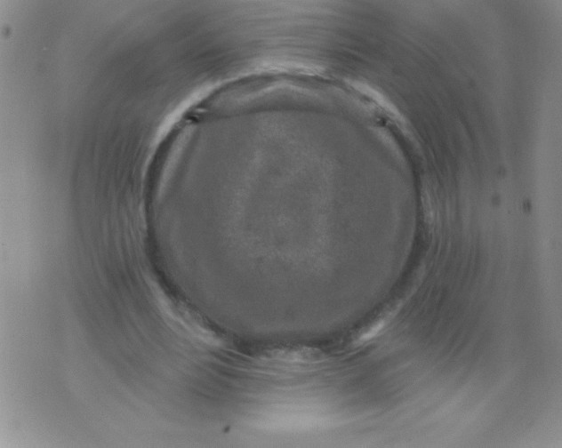 X0000071960488200607282037