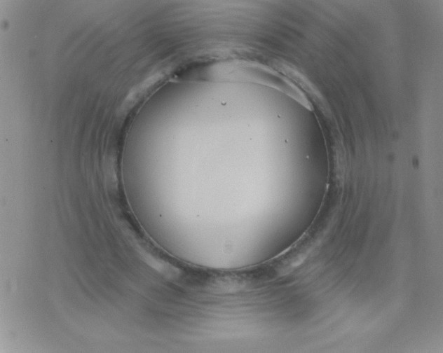 X0000071960489200607282037